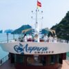 du lịch miền bắc vntour