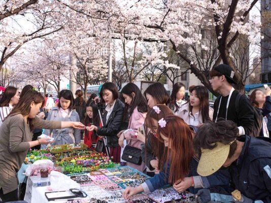 Lễ hội hoa xuân Yeongdeungpo Yeouido mùa hoa anh đào