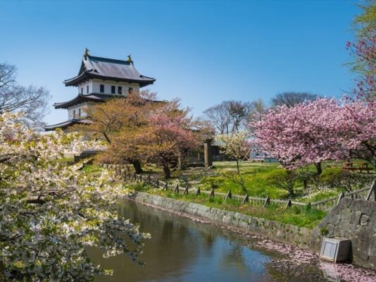 Hokkaido mùa hoa anh đào