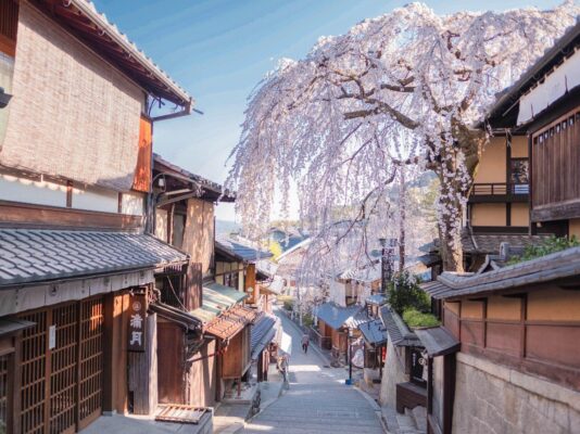 Kyoto mùa Hoa anh đào