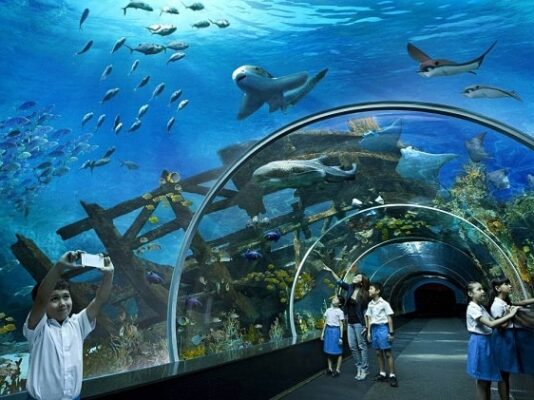 Thủy cung underwater world Pattaya