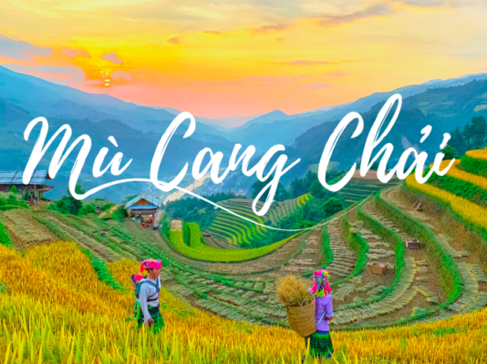 TOUR DU LỊCH TÂY BẮC MÙ CANG CHẢI