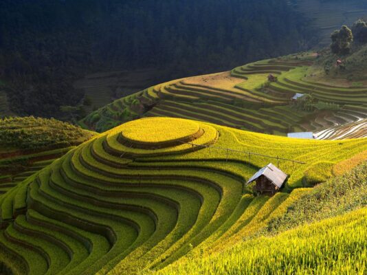 Hoàng Su Phì – nằm ở phía tây tỉnh Hà Giang